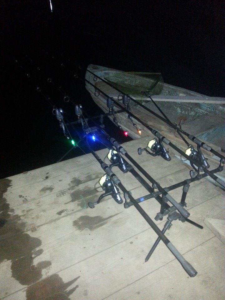 Tancabesti 1 - 2 mar. - z9.jpg